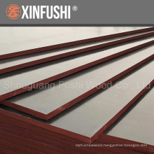 Bulk shipping film faced shuttering plywood